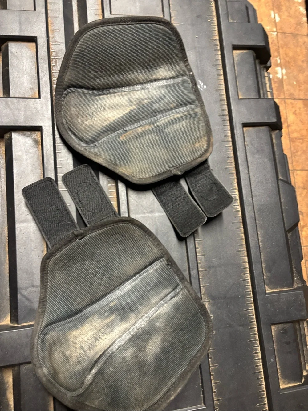 Horse brushing boots medium